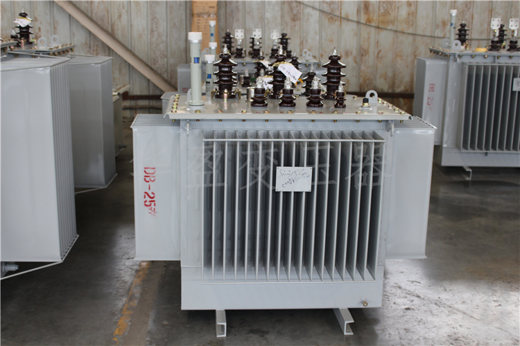 榆林S20-800kVA/10kV/0.4kV变压器